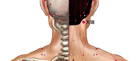 天竅穴位置|天牖穴的准确位置图和作用